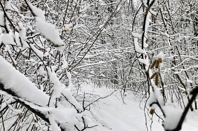В Самаре сугробы выросли до 31 сантиметра 