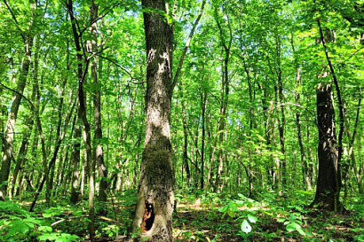 Название статьи