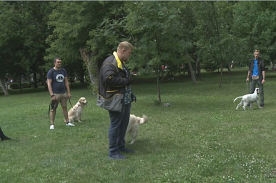  В Самарской области откроется центр реабилитации животных после тяжелых травм и операций