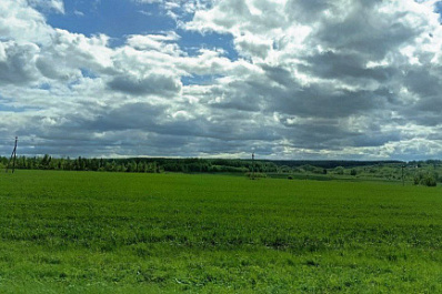 Народные приметы на 1 июня 2025 года: что нельзя делать в этот день