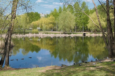Жители Самарской области выбирают парки и скверы для благоустройства