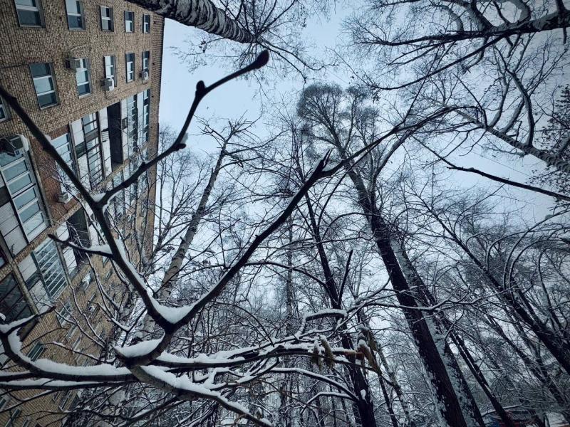 Порядка 40 бригад ежедневно очищают крыши от наледи в Самаре