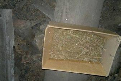 700 граммов марихуаны изъяли полицейские у жителя Сызранского района