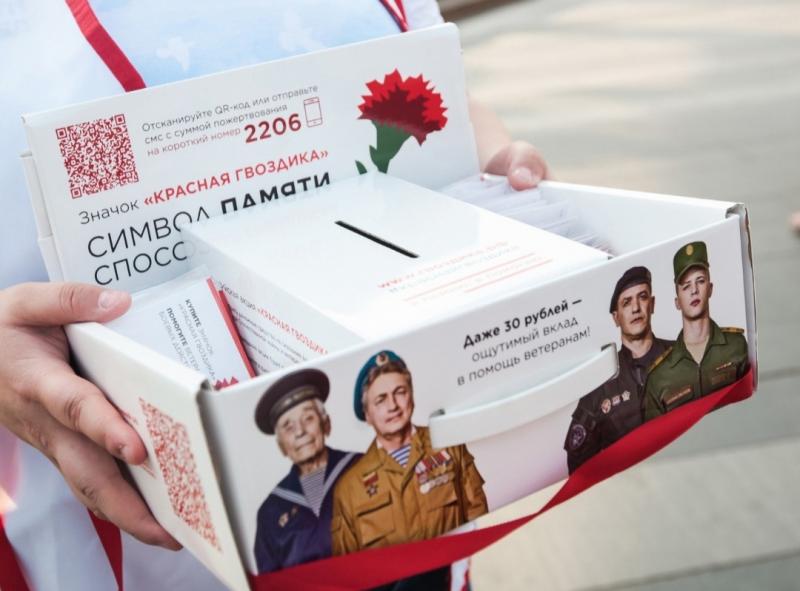 "Красная гвоздика": как в Самаре пройдёт всероссийская акция помощи ветеранам