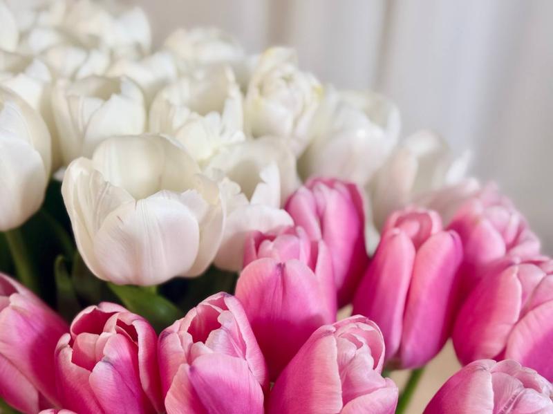 А часики-то тикают: почему "женихи на вечер" набирают популярность у одиноких девушек