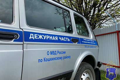 Название статьи