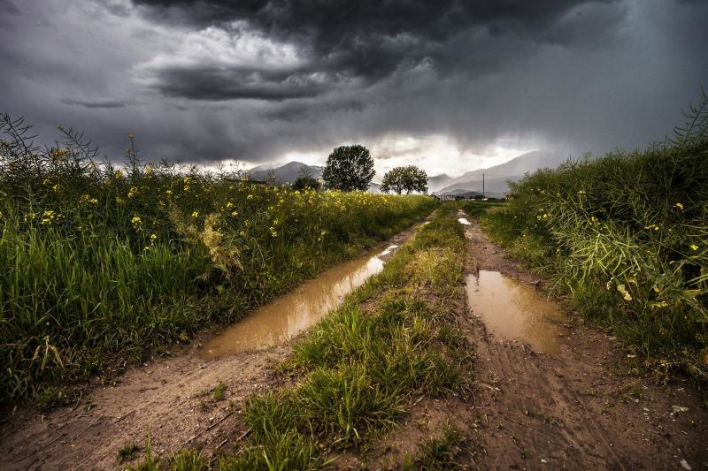 В Самарской области до конца рабочей недели прогнозируют дожди и грозы