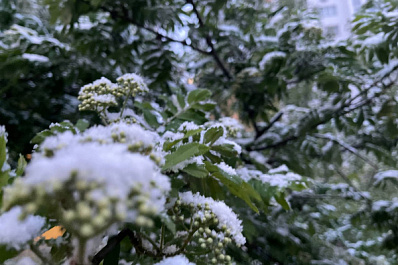 В Гидрометцентре рассказали, что в августе в России возможны первые заморозки