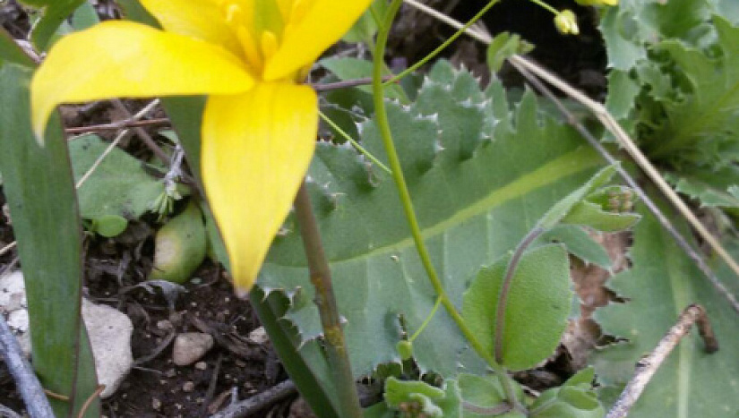 22 апреля в истории и на страницах "ВК"