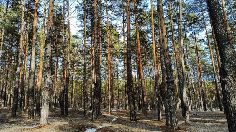 Народные приметы на 26 марта 2025 года: что нельзя делать в этот день