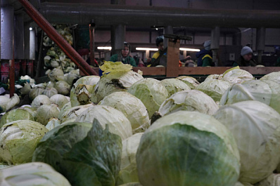 Мнение экспертов: какие продукты и напитки нельзя сочетать с лекарствами для сердца