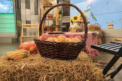 26 октября СОВА проведет телемарафон "По осени считаем"