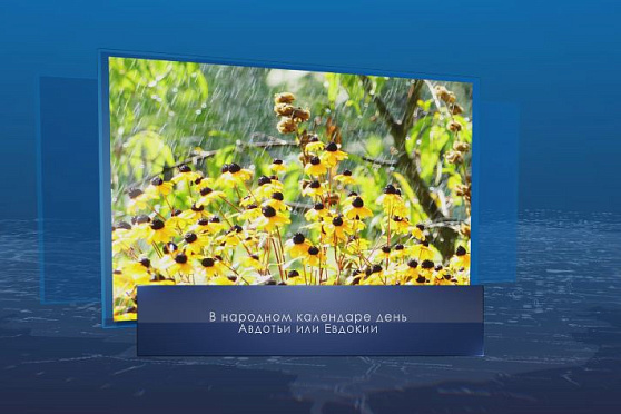 Авдотья-малиновка (огуречница). Календарь губернии от 17 августа