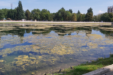 Жители Самары пожаловались на состояние озера на Металлурге