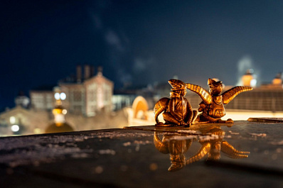 В Самаре на городских улицах оставят шишиг-летунов