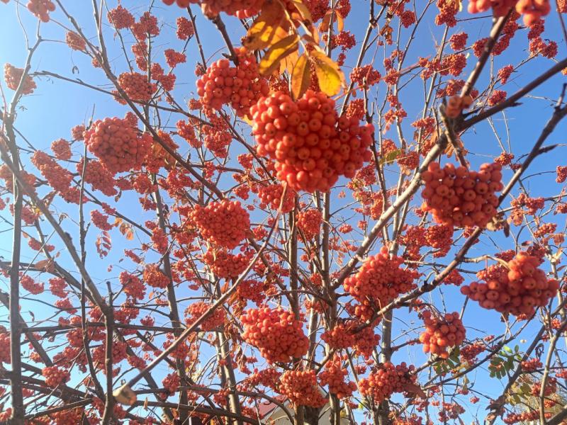 Народные приметы на 25 мая 2025 года: что нельзя делать в этот день