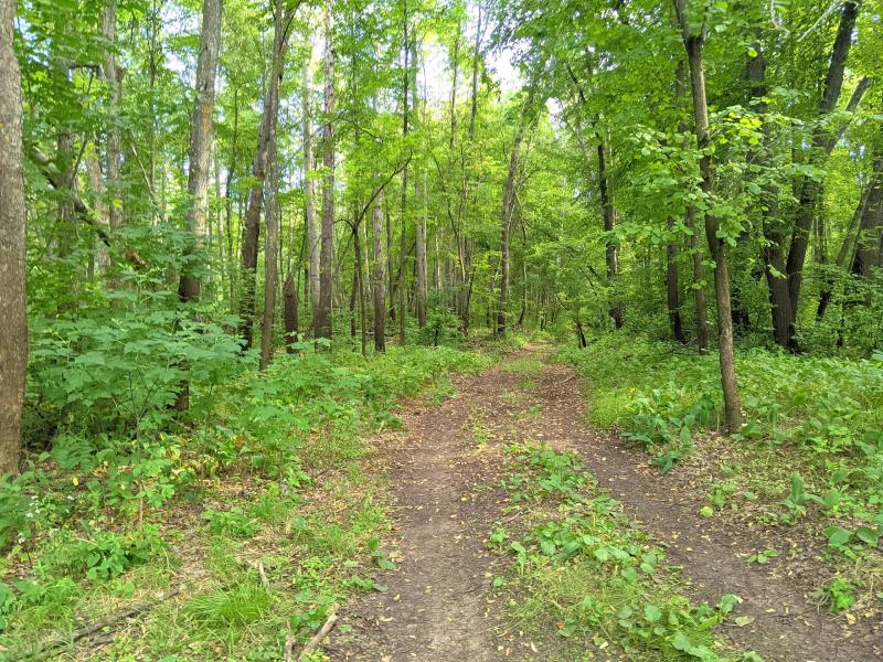 В Самарской области состоялась летняя профильная смена юных экологов