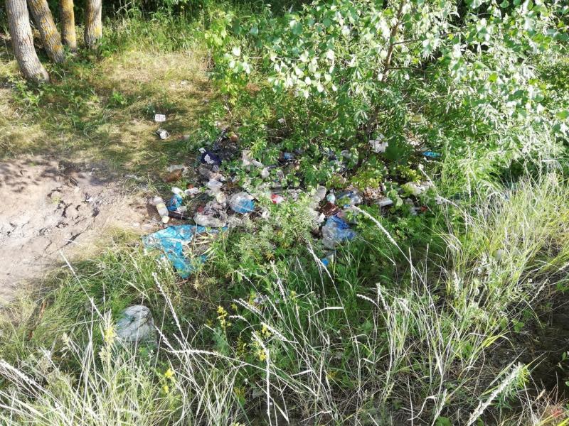 Несколько мешков "добычи" удалось собрать на рыбалке жительнице Сызрани