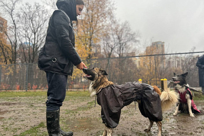 "Знакомим их с английскими прогулками": как проходят бесплатные занятия для собачников в Самаре