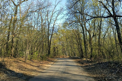 В Самарской области объявили высокий риск возникновения лесных пожаров