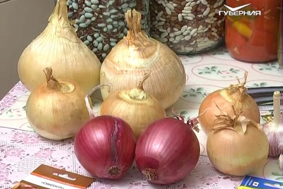Дачные советы 17.11.2016. Итоги уходящего сезона. Подготовка почвосмеси. Безрассадные сорта томатов