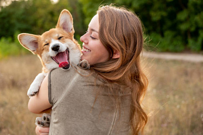 Кинолог назвал топ-5 пород собак для начинающих собаководов 