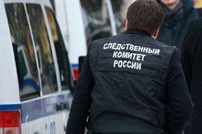 В Тольятти бездомная собака напала на ребёнка