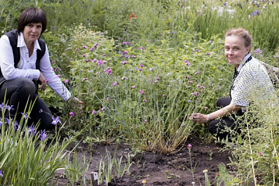 Учёные Самарского университета отправят в космос "детей" и "внуков" растений-космонавтов