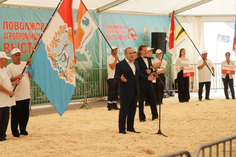 Умная ферма: сколько времени и сил требуют племенные коровы