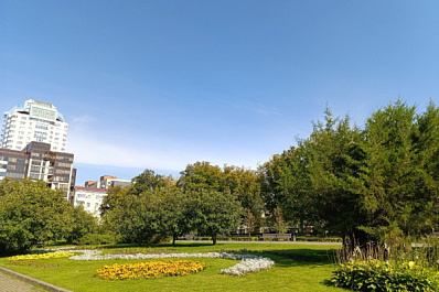 Жительница Самары пожаловалась на клумбы с ядовитыми кустами