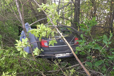 В Самарской области водитель превысил скорость и улетел в кювет