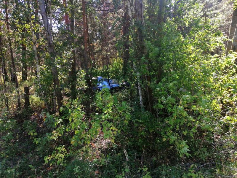 В Самарской области водитель "семерки" погиб, вылетев в кювет с трассы