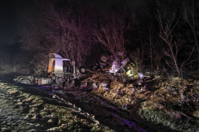 На трассе в Самарской области водитель грузовика сбил лося и погиб