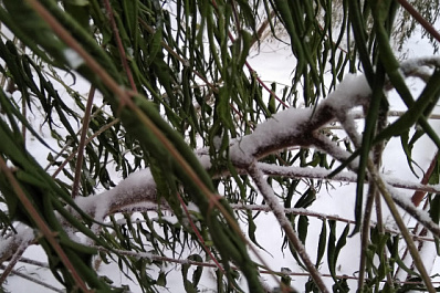Рекордное количество снега выпало накануне сразу в нескольких городах Самарской области 