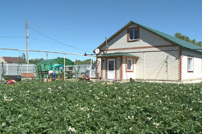 Молодые родители из Шигонского района рассказали о преимуществах мер поддержки семей с детьми