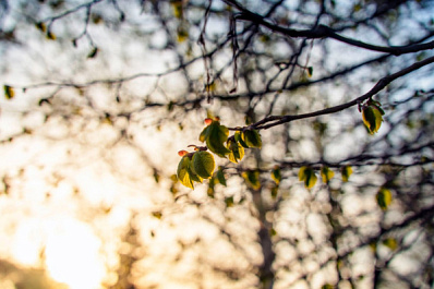 Психолог Мария Прудкая рассказала, как весна влияет на настроение человека