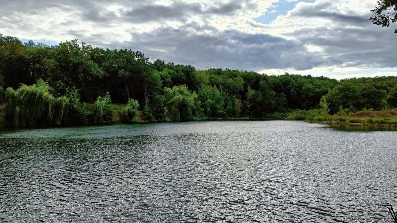 На шести пляжах Самарской области не рекомендуют купаться