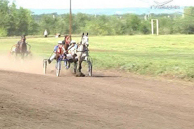 В Самарской области прошел масштабный конно-спортивный фестиваль