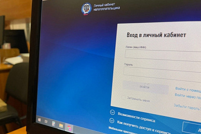 Каждый третий житель Самарской области подключен к личному кабинету налоговой