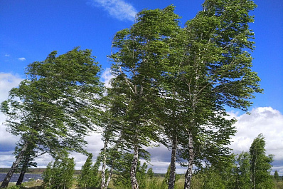 Штормовое предупреждение объявлено в Самарской области с 8 августа на 5 дней