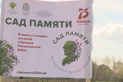 5 тысяч сосен высадили в Самарской области