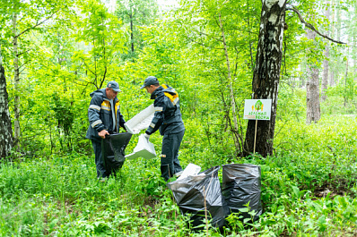 Самарская область присоединились к Всероссийской экоакции "Зеленая весна"