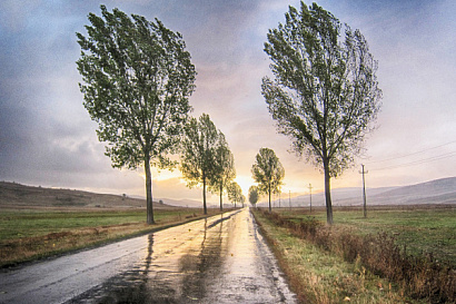 Название статьи