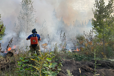 "Задача - не дать распространиться огню за ночь": Дмитрий Азаров о пожаре в тольяттинском лесу