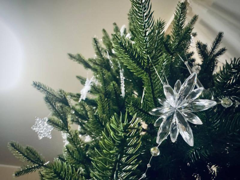 Как нарядить елку в 2026 году: советы астролога для встречи Огненной Лошади