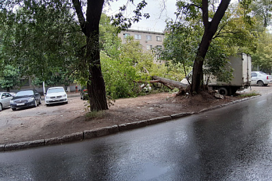 В Самаре дерево упало на стоянку автомобилей