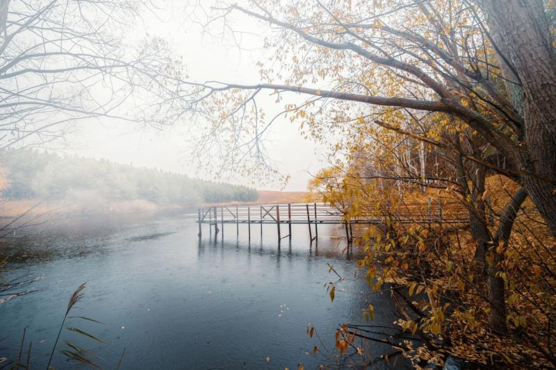 В Самарской области 3 декабря ожидается туман