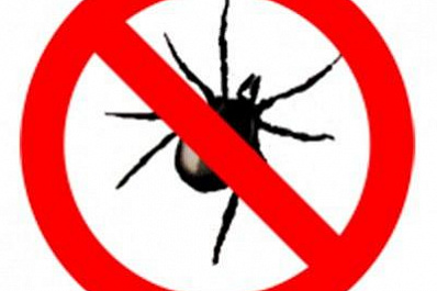 Обработка от клещей и грызунов началась в Самаре