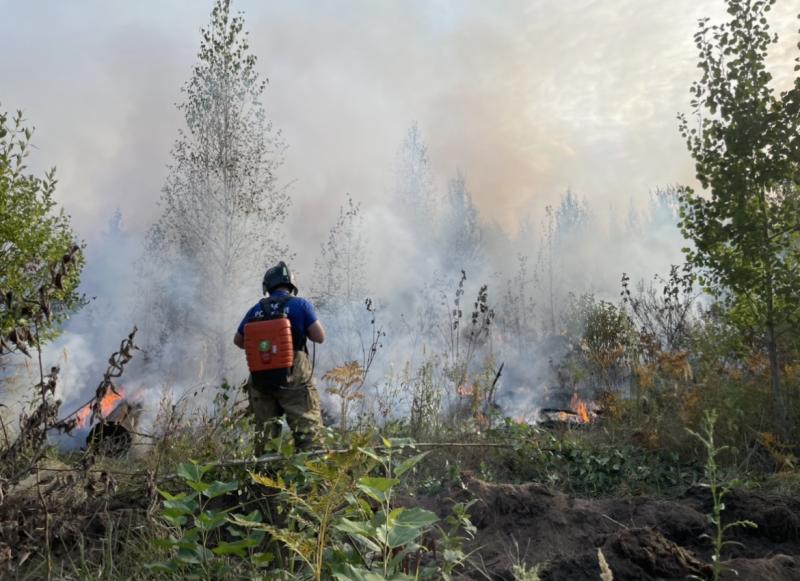 В Тольятти разыскивают поджигателя леса