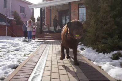 В Тольятти мариупольский Хатико обживает новый дом